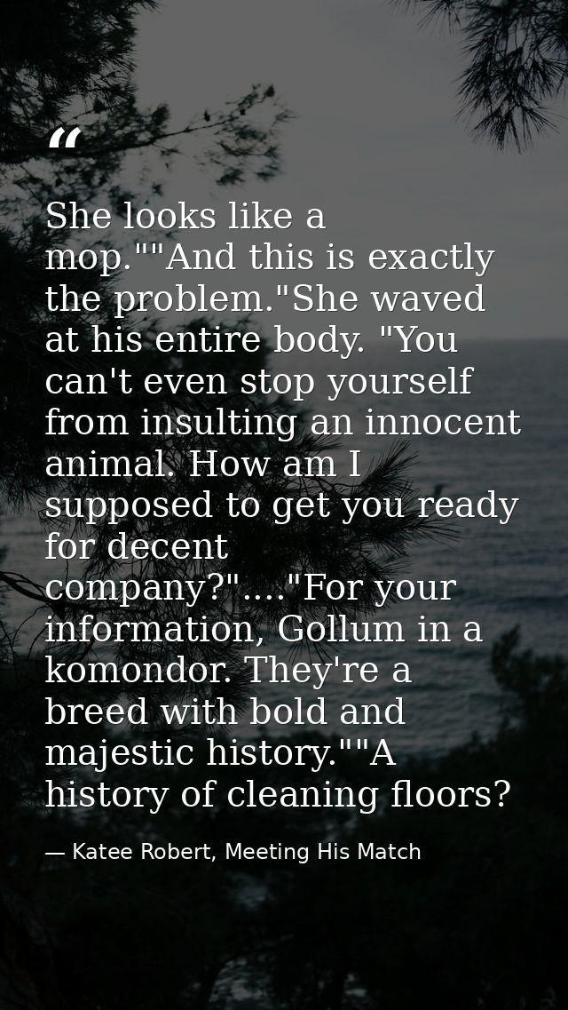 She looks like a mop.""And this is exactly the problem."She waved at his entire body. "You can't even stop yourself from — Katee Robert, Meeting His Match