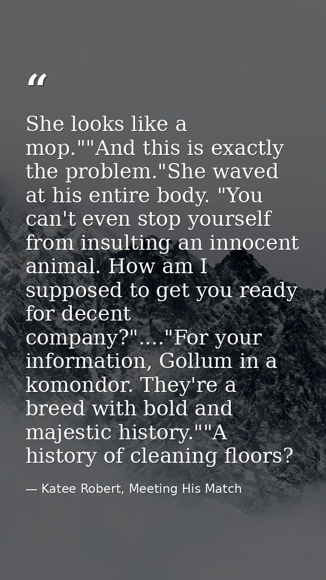 She looks like a mop.""And this is exactly the problem."She waved at his entire body. "You can't even stop yourself from — Katee Robert, Meeting His Match