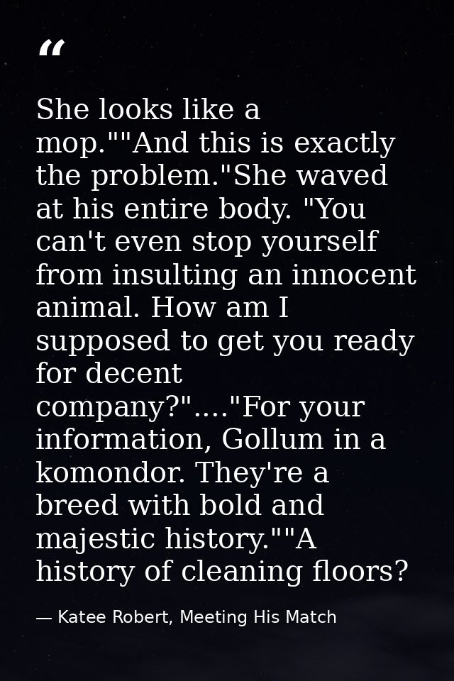She looks like a mop.""And this is exactly the problem."She waved at his entire body. "You can't even stop yourself from — Katee Robert, Meeting His Match