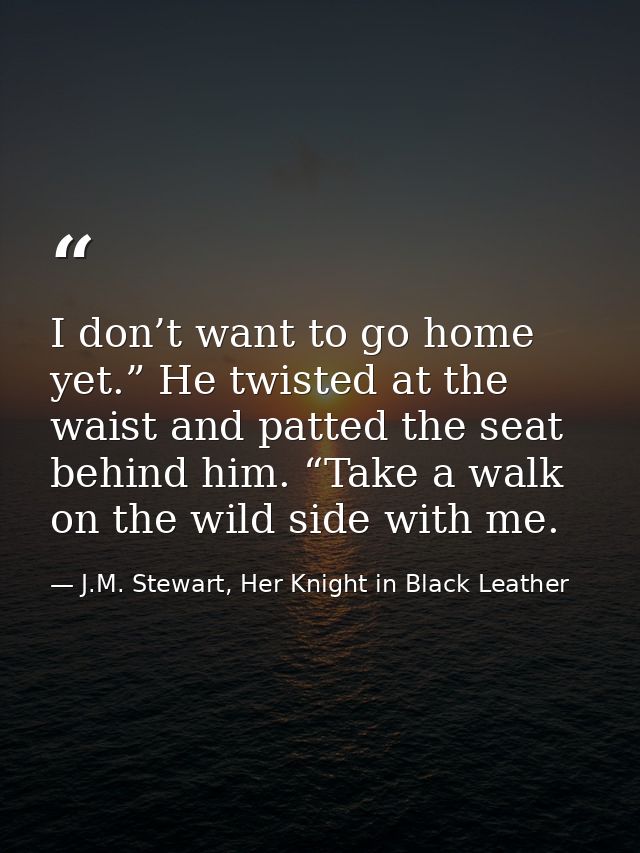 I don’t want to go home yet.” He twisted at the waist and patted the seat behind him. “Take a walk on the wild side with — J.M. Stewart, Her Knight in Black Leather
