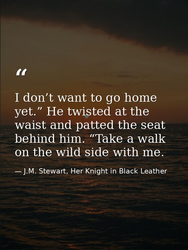 I don’t want to go home yet.” He twisted at the waist and patted the seat behind him. “Take a walk on the wild side with — J.M. Stewart, Her Knight in Black Leather