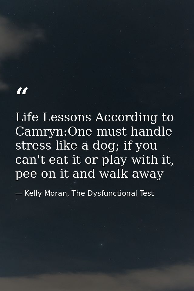 Life Lessons According to Camryn:One must handle stress like a dog; if you can't eat it or play with it, pee on it and w — Kelly Moran, The Dysfunctional Test