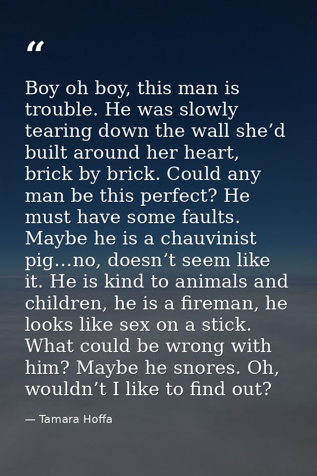 Boy oh boy, this man is trouble. He was slowly tearing down the wall she’d built around her heart, brick by brick. Could — Tamara Hoffa
