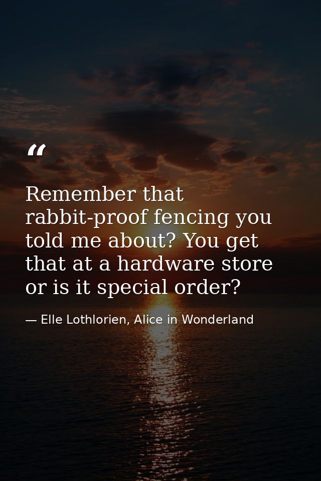 Remember that rabbit-proof fencing you told me about? You get that at a hardware store or is it special order? — Elle Lothlorien, Alice in Wonderland