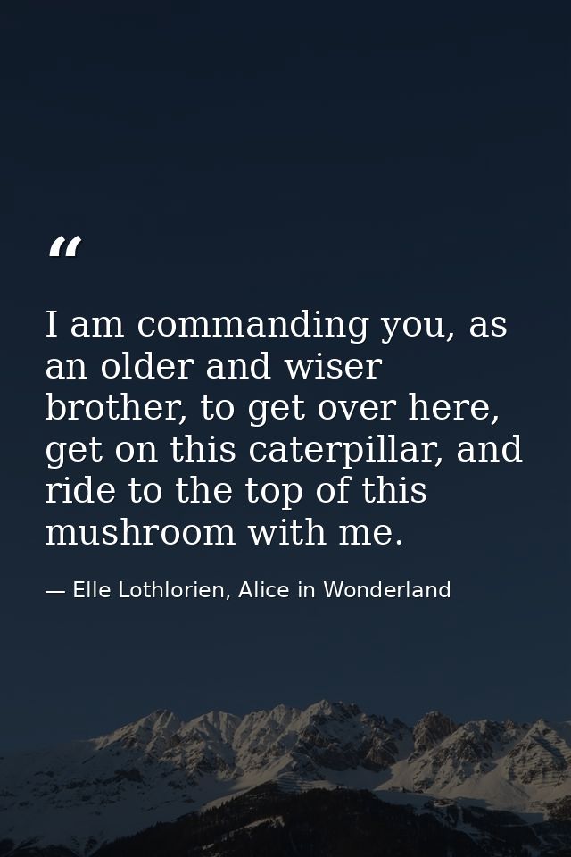 I am commanding you, as an older and wiser brother, to get over here, get on this caterpillar, and ride to the top of th — Elle Lothlorien, Alice in Wonderland