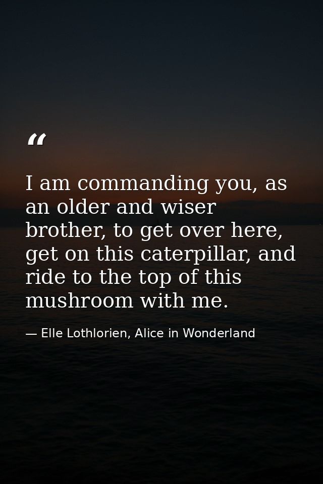 I am commanding you, as an older and wiser brother, to get over here, get on this caterpillar, and ride to the top of th — Elle Lothlorien, Alice in Wonderland