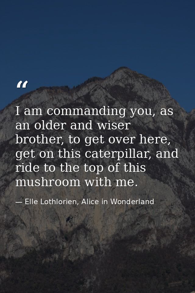 I am commanding you, as an older and wiser brother, to get over here, get on this caterpillar, and ride to the top of th — Elle Lothlorien, Alice in Wonderland
