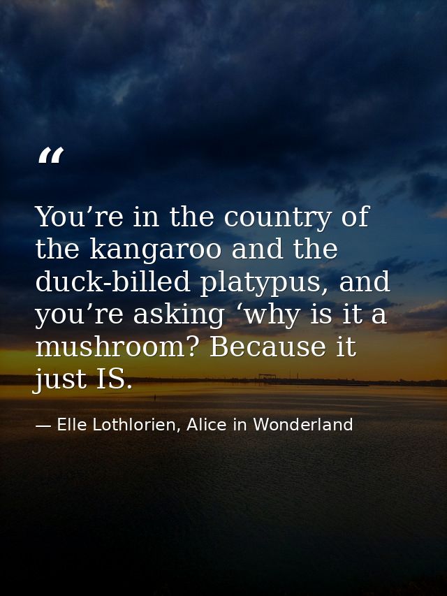 You’re in the country of the kangaroo and the duck-billed platypus, and you’re asking ‘why is it a mushroom? Because it  — Elle Lothlorien, Alice in Wonderland
