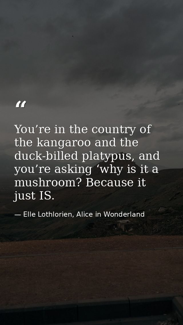 You’re in the country of the kangaroo and the duck-billed platypus, and you’re asking ‘why is it a mushroom? Because it  — Elle Lothlorien, Alice in Wonderland