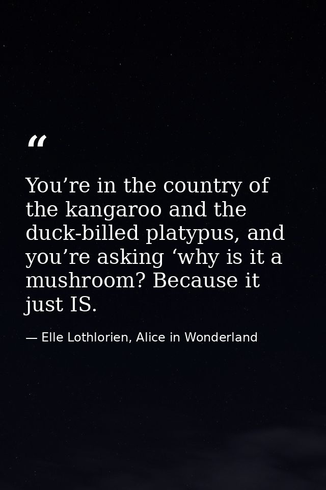 You’re in the country of the kangaroo and the duck-billed platypus, and you’re asking ‘why is it a mushroom? Because it  — Elle Lothlorien, Alice in Wonderland