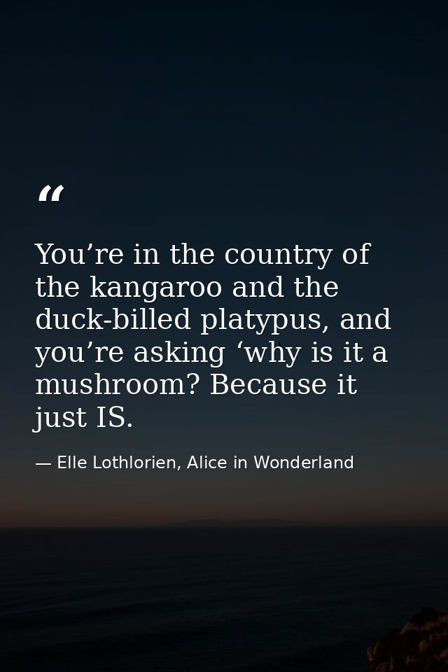 You’re in the country of the kangaroo and the duck-billed platypus, and you’re asking ‘why is it a mushroom? Because it  — Elle Lothlorien, Alice in Wonderland