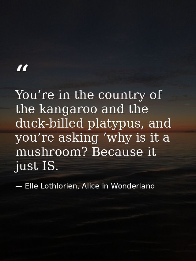 You’re in the country of the kangaroo and the duck-billed platypus, and you’re asking ‘why is it a mushroom? Because it  — Elle Lothlorien, Alice in Wonderland