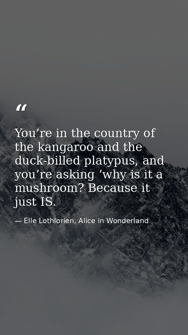 You’re in the country of the kangaroo and the duck-billed platypus, and you’re asking ‘why is it a mushroom? Because it  — Elle Lothlorien, Alice in Wonderland
