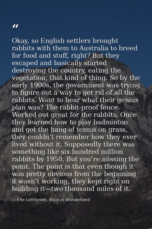 Okay, so English settlers brought rabbits with them to Australia to breed for food and stuff, right? But they escaped an — Elle Lothlorien, Alice in Wonderland