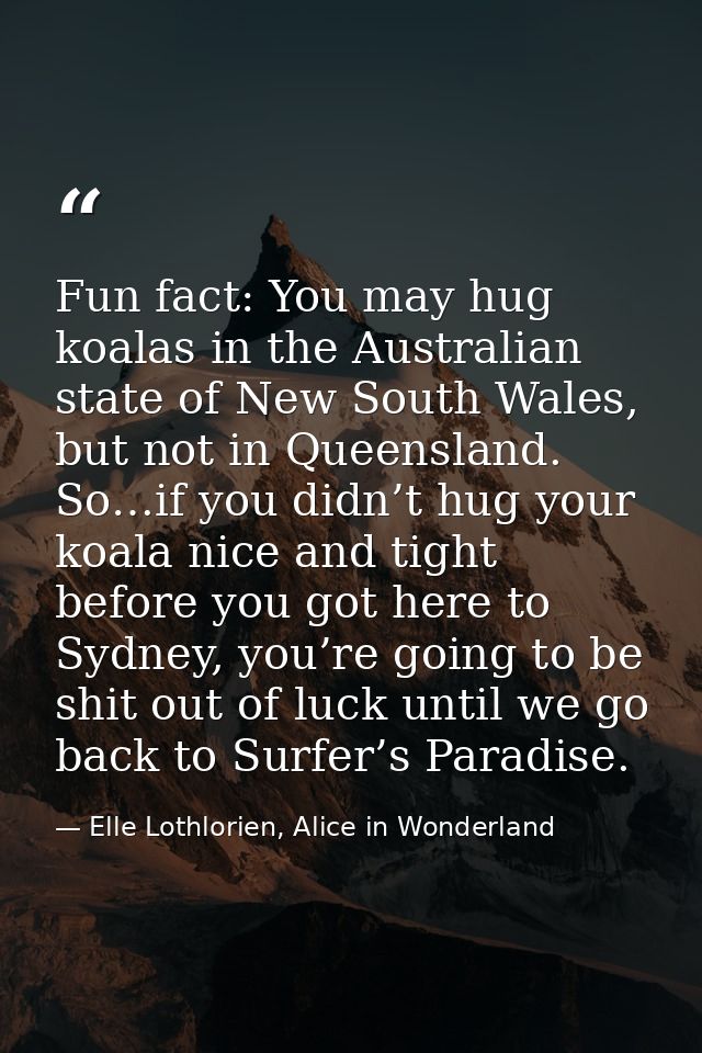 Fun fact: You may hug koalas in the Australian state of New South Wales, but not in Queensland. So…if you didn’t hug you — Elle Lothlorien, Alice in Wonderland