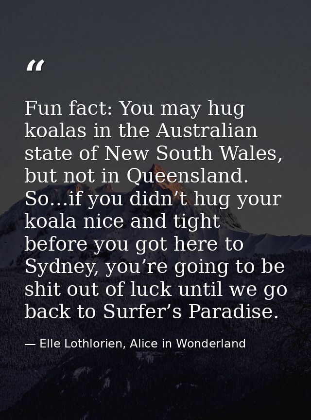 Fun fact: You may hug koalas in the Australian state of New South Wales, but not in Queensland. So…if you didn’t hug you — Elle Lothlorien, Alice in Wonderland