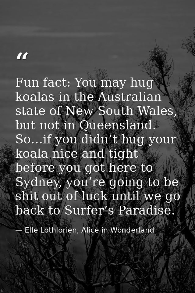 Fun fact: You may hug koalas in the Australian state of New South Wales, but not in Queensland. So…if you didn’t hug you — Elle Lothlorien, Alice in Wonderland
