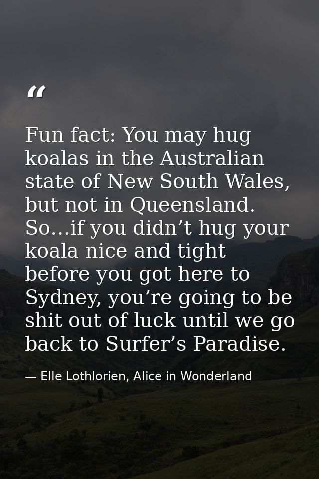 Fun fact: You may hug koalas in the Australian state of New South Wales, but not in Queensland. So…if you didn’t hug you — Elle Lothlorien, Alice in Wonderland