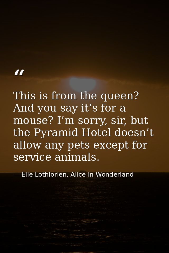 This is from the queen? And you say it’s for a mouse? I’m sorry, sir, but the Pyramid Hotel doesn’t allow any pets excep — Elle Lothlorien, Alice in Wonderland