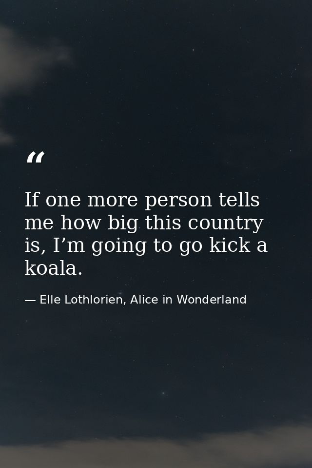 If one more person tells me how big this country is, I’m going to go kick a koala. — Elle Lothlorien, Alice in Wonderland