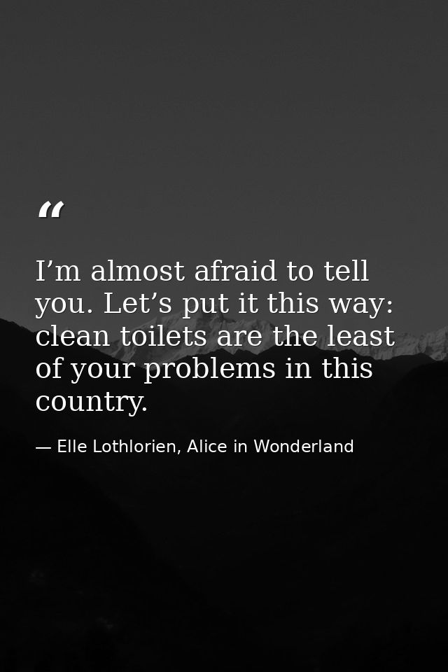 I’m almost afraid to tell you. Let’s put it this way: clean toilets are the least of your problems in this country. — Elle Lothlorien, Alice in Wonderland