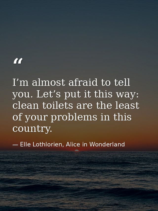 I’m almost afraid to tell you. Let’s put it this way: clean toilets are the least of your problems in this country. — Elle Lothlorien, Alice in Wonderland