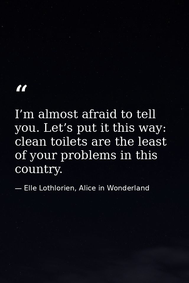 I’m almost afraid to tell you. Let’s put it this way: clean toilets are the least of your problems in this country. — Elle Lothlorien, Alice in Wonderland