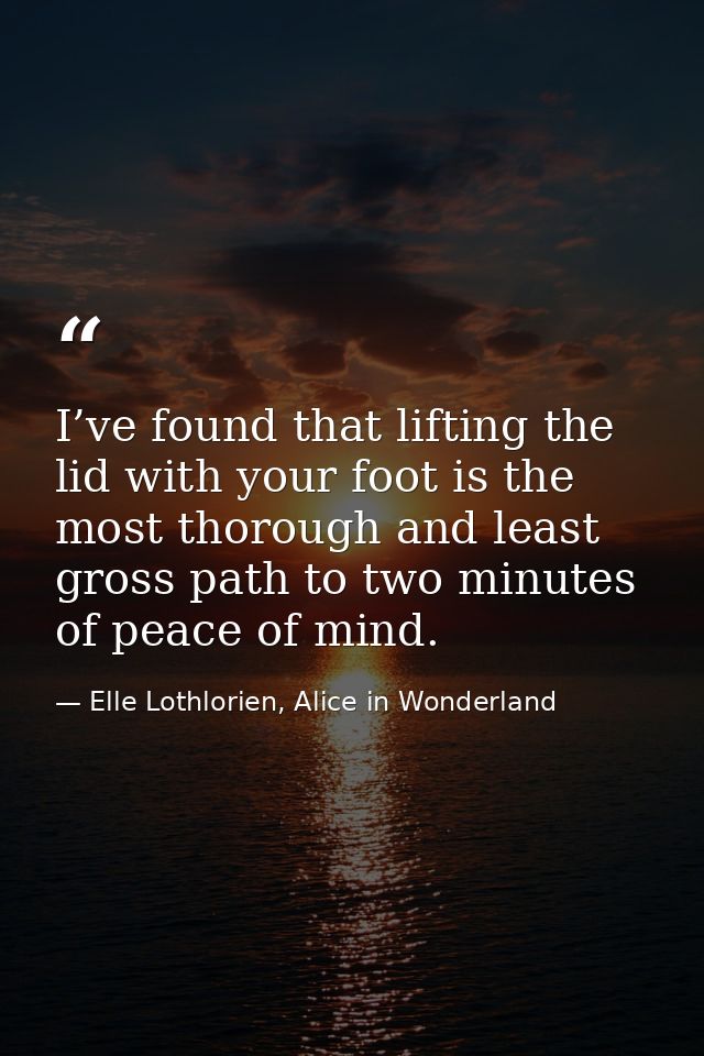 I’ve found that lifting the lid with your foot is the most thorough and least gross path to two minutes of peace of mind — Elle Lothlorien, Alice in Wonderland
