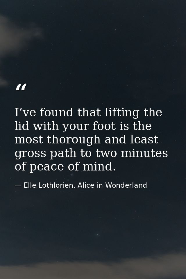 I’ve found that lifting the lid with your foot is the most thorough and least gross path to two minutes of peace of mind — Elle Lothlorien, Alice in Wonderland