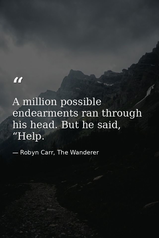 A million possible endearments ran through his head. But he said, “Help. — Robyn Carr, The Wanderer