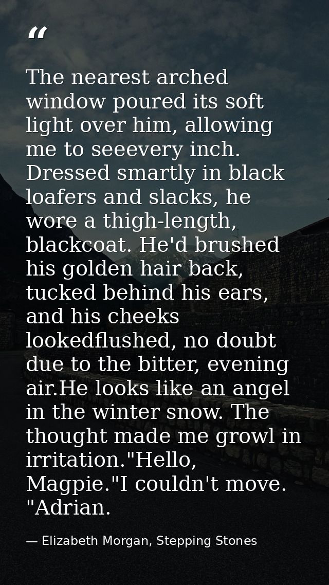 The nearest arched window poured its soft light over him, allowing me to seeevery inch. Dressed smartly in black loafers — Elizabeth Morgan, Stepping Stones