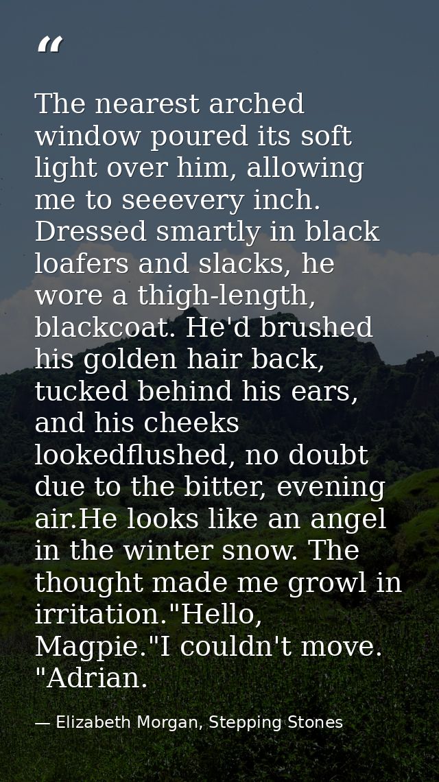 The nearest arched window poured its soft light over him, allowing me to seeevery inch. Dressed smartly in black loafers — Elizabeth Morgan, Stepping Stones