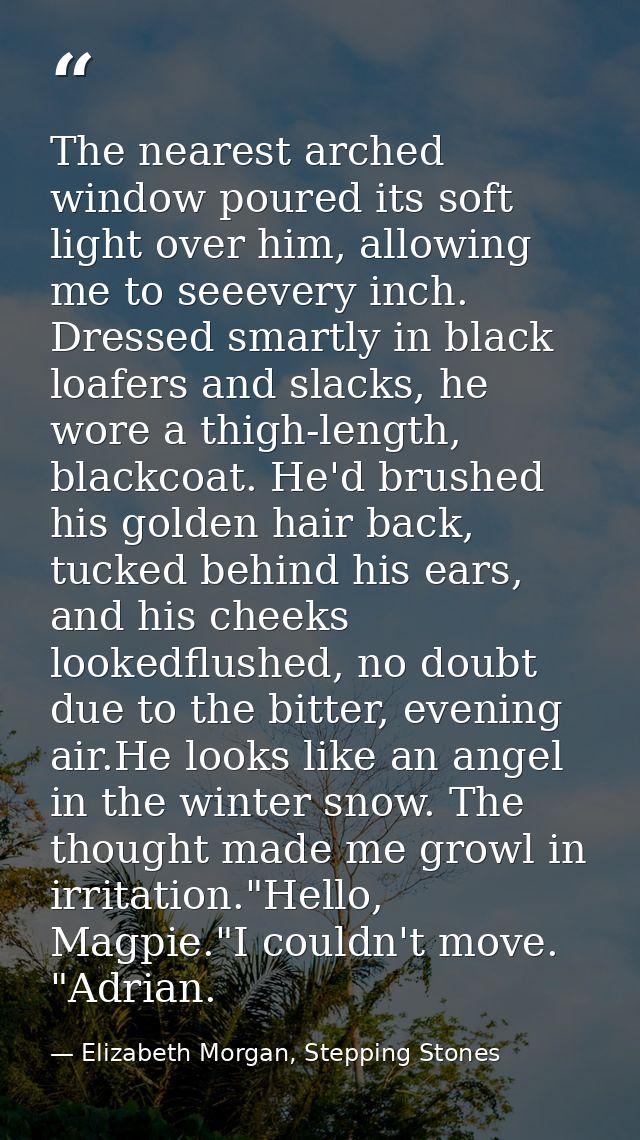 The nearest arched window poured its soft light over him, allowing me to seeevery inch. Dressed smartly in black loafers — Elizabeth Morgan, Stepping Stones
