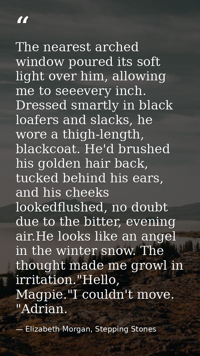 The nearest arched window poured its soft light over him, allowing me to seeevery inch. Dressed smartly in black loafers — Elizabeth Morgan, Stepping Stones