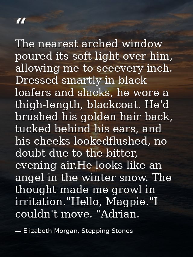 The nearest arched window poured its soft light over him, allowing me to seeevery inch. Dressed smartly in black loafers — Elizabeth Morgan, Stepping Stones