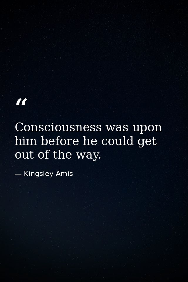 Consciousness was upon him before he could get out of the way. — Kingsley Amis