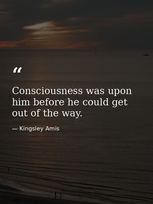 Consciousness was upon him before he could get out of the way. — Kingsley Amis