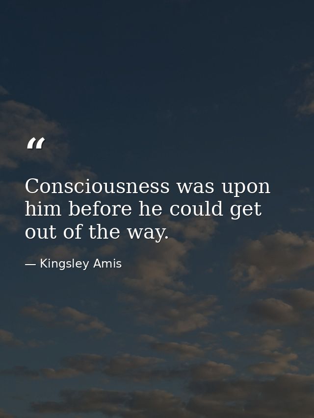 Consciousness was upon him before he could get out of the way. — Kingsley Amis