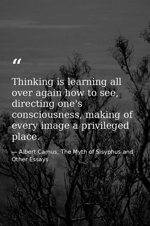 Thinking is learning all over again how to see, directing one's consciousness, making of every image a privileged place. — Albert Camus, The Myth of Sisyphus and Other Essays