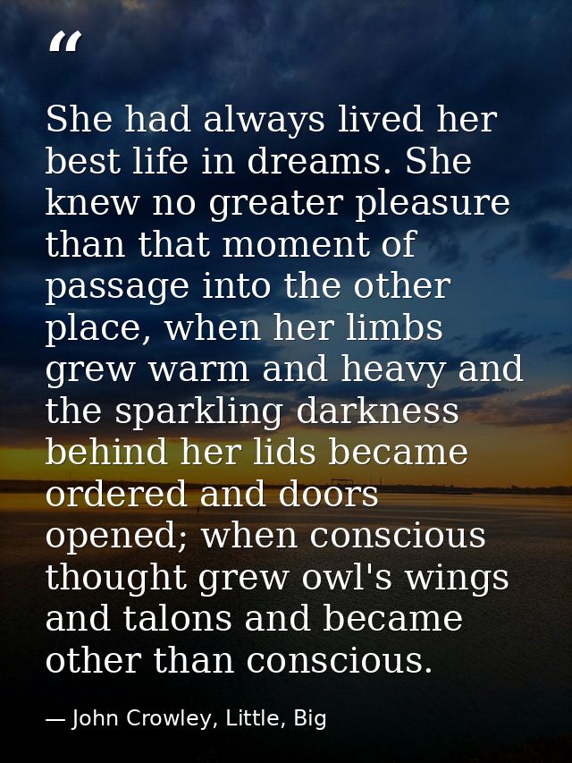 She had always lived her best life in dreams. She knew no greater pleasure than that moment of passage into the other pl — John Crowley, Little, Big