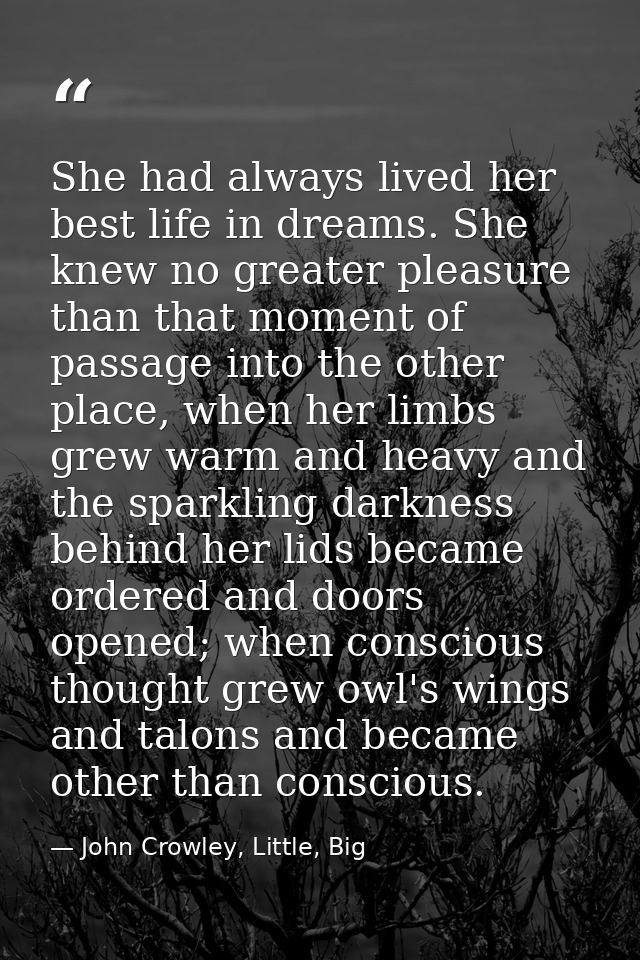 She had always lived her best life in dreams. She knew no greater pleasure than that moment of passage into the other pl — John Crowley, Little, Big