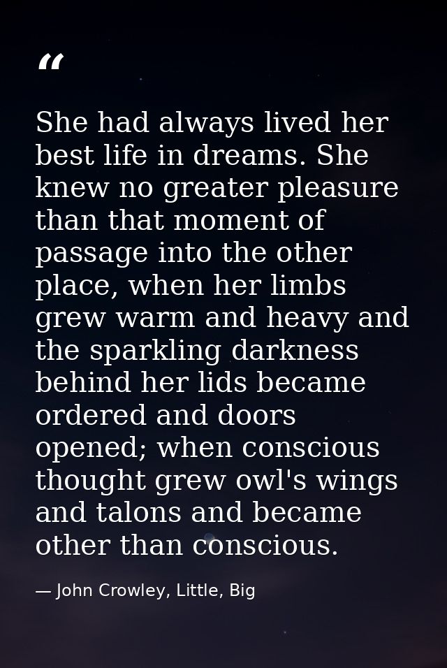She had always lived her best life in dreams. She knew no greater pleasure than that moment of passage into the other pl — John Crowley, Little, Big