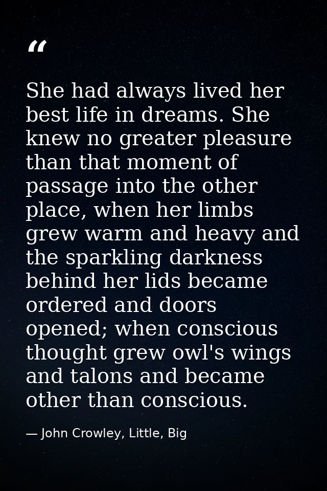 She had always lived her best life in dreams. She knew no greater pleasure than that moment of passage into the other pl — John Crowley, Little, Big
