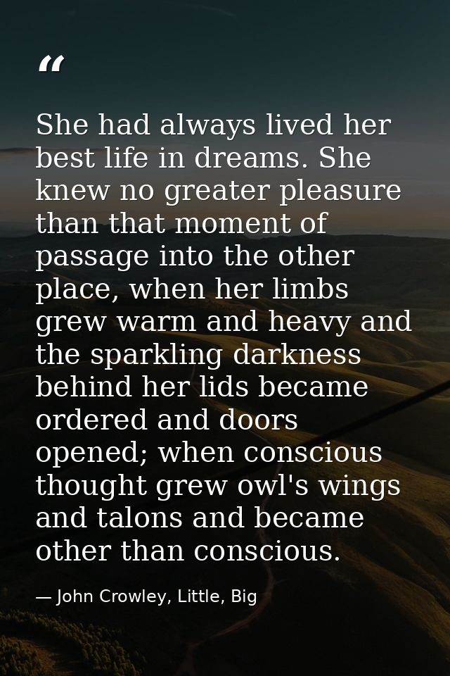 She had always lived her best life in dreams. She knew no greater pleasure than that moment of passage into the other pl — John Crowley, Little, Big