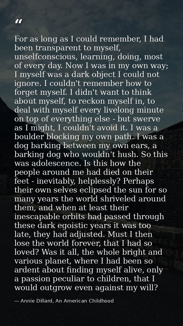 For as long as I could remember, I had been transparent to myself, unselfconscious, learning, doing, most of every day.  — Annie Dillard, An American Childhood