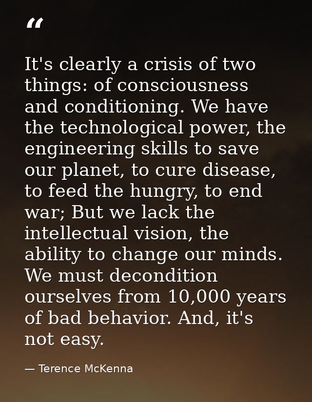 It's clearly a crisis of two things: of consciousness and conditioning. We have the technological power, the engineering — Terence McKenna