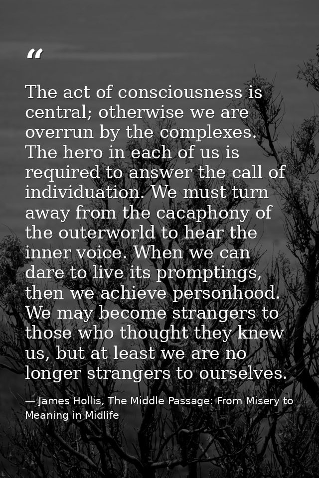 The act of consciousness is central; otherwise we are overrun by the complexes. The hero in each of us is required to an — James Hollis, The Middle Passage: From Misery to Meaning in Midlife