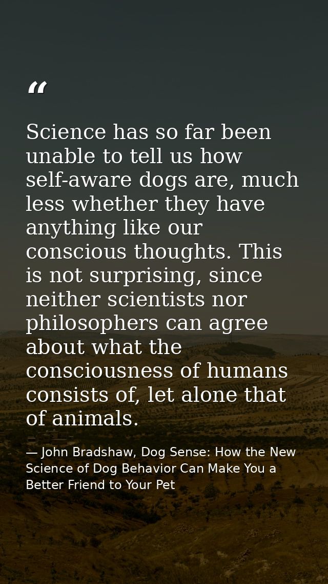 Science has so far been unable to tell us how self-aware dogs are, much less whether they have anything like our conscio — John Bradshaw, Dog Sense: How the New Science of Dog Behavior Can Make You a Better Friend to Your Pet