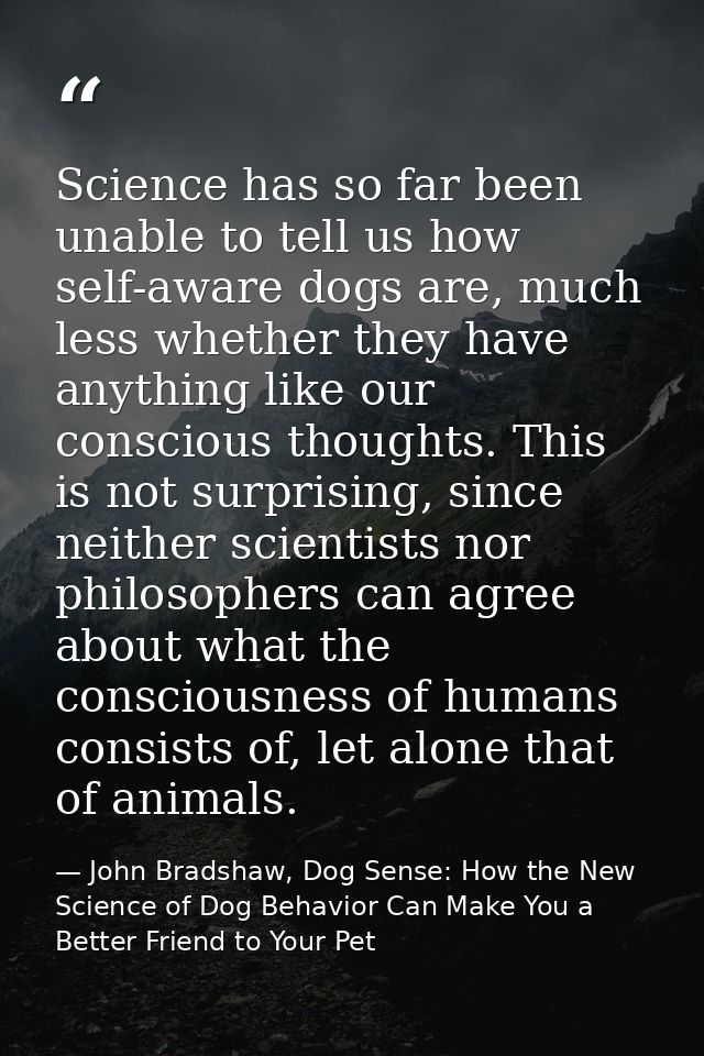 Science has so far been unable to tell us how self-aware dogs are, much less whether they have anything like our conscio — John Bradshaw, Dog Sense: How the New Science of Dog Behavior Can Make You a Better Friend to Your Pet