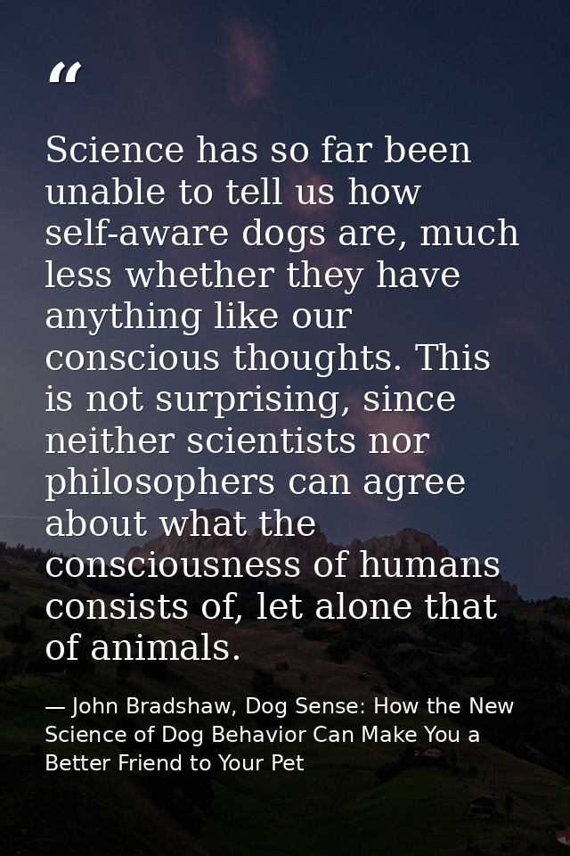 Science has so far been unable to tell us how self-aware dogs are, much less whether they have anything like our conscio — John Bradshaw, Dog Sense: How the New Science of Dog Behavior Can Make You a Better Friend to Your Pet